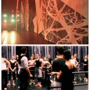 Tree backdrops created for Production Designer Thrse DePrez for the film Black Swan