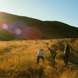 Andreas Wood, David Huffman, Eric Keith, Sunset Shot- Firestone Ranch, 2014