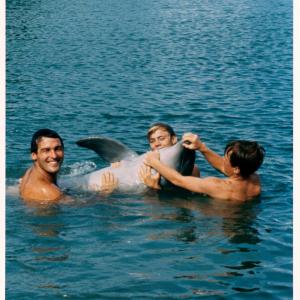 Still of Luke Halpin, Brian Kelly and Flipper in Flipper (1964)