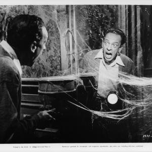 Still of Don Knotts in The Ghost and Mr Chicken 1966