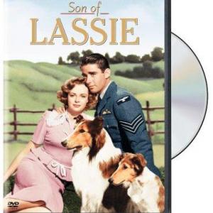 June Lockhart Peter Lawford and Pal in Son of Lassie 1945