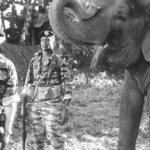 Still of Danny Glover, Ray Liotta and Dinh Thien Le in Operation Dumbo Drop (1995)