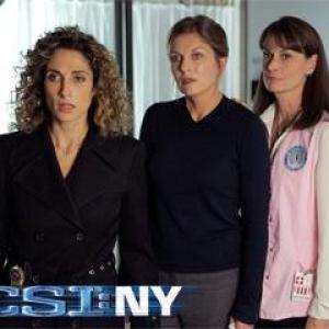Still of Melina Kanakaredes and Sheryl Lee in CSI Niujorkas And Heres to You Mrs Azrael 2006