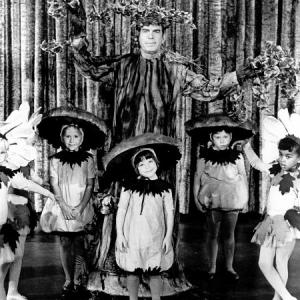 Dodie Dawn Lyn is a mushroom in the school play Steve Fred MacMurray helps out by playing a tree