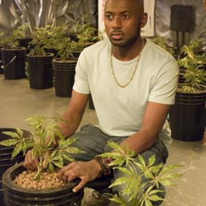 Still of Romany Malco in Weeds (2005)