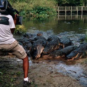 Alligator wrangler Tim Williams guides Cinematographer John Mans around some hungry actors