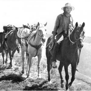 William E Marks crossing Painted Desert during his Ride For Nature 7000 mile horseback trek across America while living outside for two years