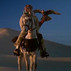 Adoni Sakr with falcon Sheitan Devil and riding his horse Jinni Ghost