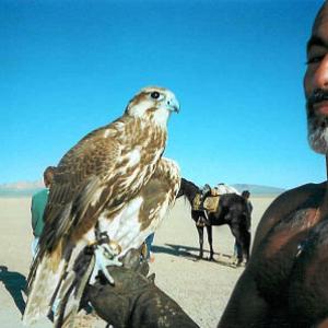 Adoni Sakr with his falcon hamming it up on the set of HIDALGO