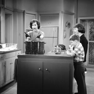 Still of Mary Tyler Moore, Dick Van Dyke, Larry Mathews and Ann Morgan in The Dick Van Dyke Show (1961)