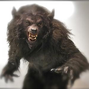 Werewolf - Fear Itself: Something With Bite - KNB EFX - Greg Nicotero, Robert Kurtzman & Howard Berger - Ernest Dickerson, Director - NBC