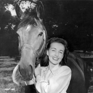 CATHERINE McLEOD Publicity shot with horse