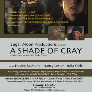 A Shade of Gray poster for the Bucks County Film Festival 2002
