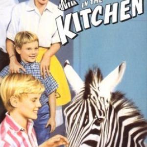 Martin Milner and Jay North in Zebra in the Kitchen 1965