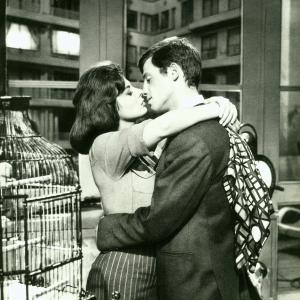 Still of Jean-Paul Belmondo and Sandra Milo in Classe tous risques (1960)