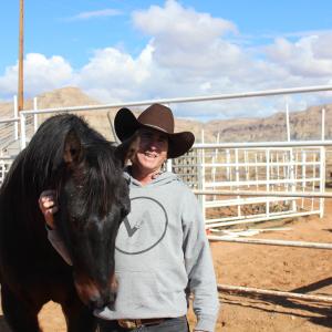 One of more than 20 Quarter Horses Trained for Western Movies and Commercials