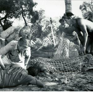 Still of Richard Carlson, Richard Denning and Antonio Moreno in Creature from the Black Lagoon (1954)