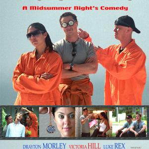 Picture This  A Midsummer Nights Comedy