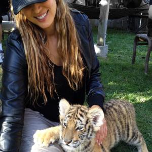 On my friends set with a baby Tiger Actor! My ultimate dream to direct animal actors!