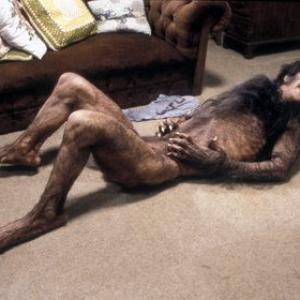 American Werewolf In London An David Naughton 1981 Universal