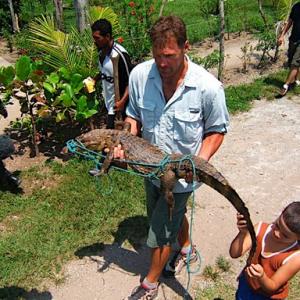 With the help of villagers, Keith Neubert saves a wild Cayman in Honduras.