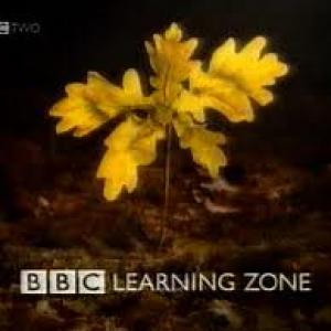 BBC Learning Zone for which Sophie Neville produced an INSET series