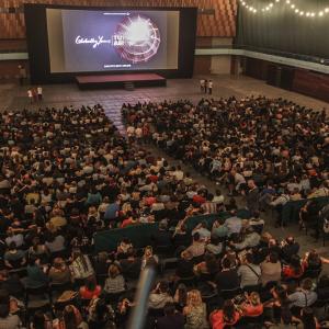 Sarajevo Film Festival, screening for 