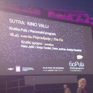 The Fix screening at the Pula Film Festival Croatia