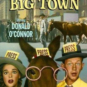 Yvette Duguay Donald OConnor and Francis the Talking Mule in Francis Covers the Big Town 1953