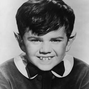 Still of Butch Patrick in The Munsters (1964)