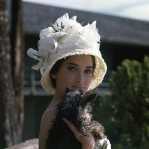 Suzanne Pleshette at home with her dog circa 1960s