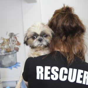 Whitney also works at a dog rescue Featured here with pup Annie