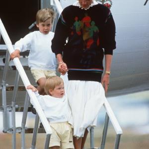 Princess Diana Prince Harry Windsor and Prince William Windsor