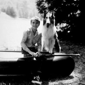 Lassie Jon Provost  Lassie C 1961 CBS