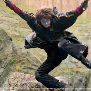 Still of Daniel Radcliffe in Haris Poteris ir ugnies taure 2005