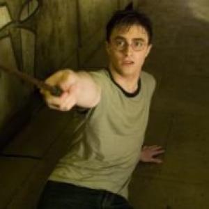 Daniel Radcliffe in Haris Poteris ir Fenikso brolija 2007