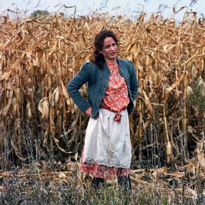 Still of Elizabeth Reaser in Sweet Land (2005)