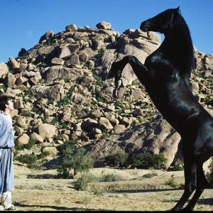 Still of Kelly Reno in The Black Stallion Returns (1983)