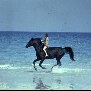 Still of Kelly Reno in The Black Stallion 1979