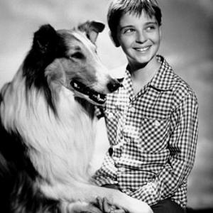 Lassie Tommy Retting  Lassie C 1954 CBS