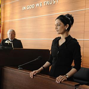 Still of Archie Panjabi and Peter Riegert in The Good Wife (2009)