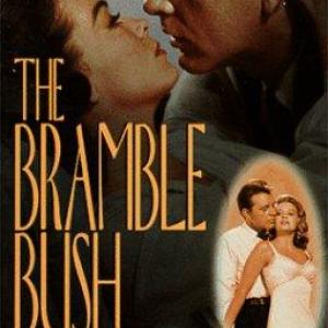 Richard Burton and Barbara Rush in The Bramble Bush 1960