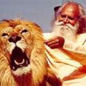 Sri Swami Satchidananda and Arthur,the emblematic MGM Lion.