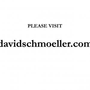 David Schmoeller website address