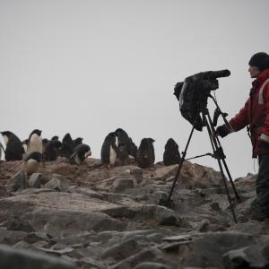 Dena films Adelie penguins in Antarctica