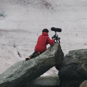 Dena films elephant seals in Antarctica