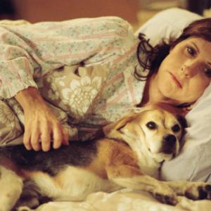 Still of Molly Shannon in Year of the Dog (2007)