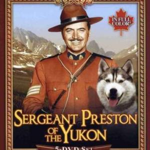 Dick Simmons and Yukon King in Sergeant Preston of the Yukon 1955