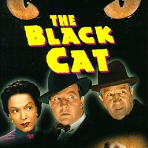 Hugh Herbert Broderick Crawford and Gale Sondergaard in The Black Cat 1941