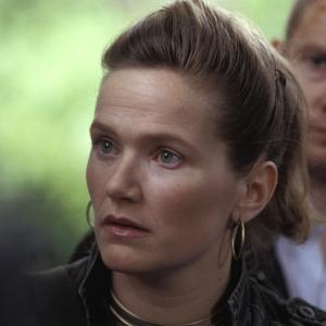 Still of Jessica Hynes in Shaun of the Dead (2004)